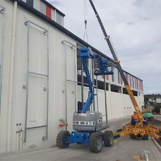 Mini Crawler Crane